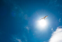 M&A – Après Framatong et EC Conseils, Astoria acquiert le CGP montpelliérain Financiel.