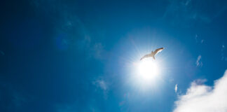 M&A – Après Framatong et EC Conseils, Astoria acquiert le CGP montpelliérain Financiel.