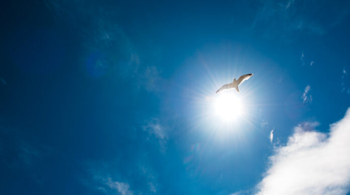 M&A – Après Framatong et EC Conseils, Astoria acquiert le CGP montpelliérain Financiel.