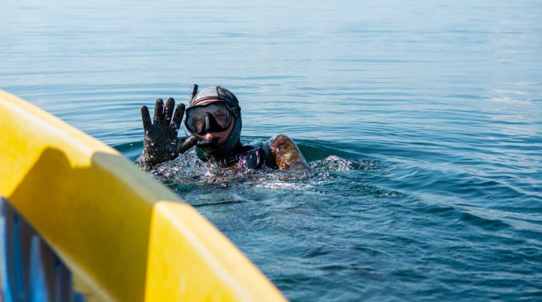 LBP25NewsAssetPro Résultats – LBP AM a récolté 3 milliards d’euros en 2025, tandis que Louvre Banque Privée attirait 1,2 milliard en épargne en net.