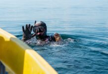 La Banque Postale – LBP AM et Louvre Banque Privée à flot en 2025 Résultats – LBP AM a récolté 3 milliards d’euros en 2025, tandis que Louvre Banque Privée attirait 1,2 milliard en épargne en net.