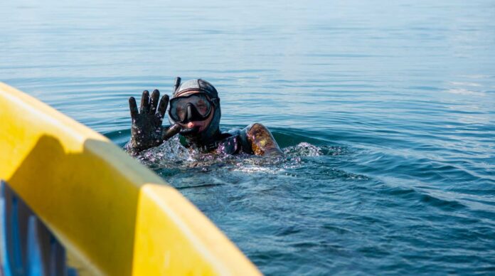 Résultats – LBP AM a récolté 3 milliards d’euros en 2025, tandis que Louvre Banque Privée attirait 1,2 milliard en épargne en net.