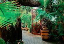 Non coté – Après Astoria Finance et Cedrus & Partners, la Carac s’apprête à entrer au capital du groupe Raise.