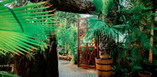 Non coté – Après Astoria Finance et Cedrus & Partners, la Carac s’apprête à entrer au capital du groupe Raise.