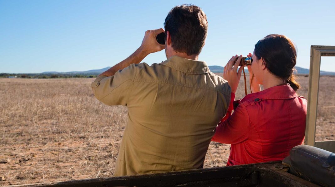 Infographies – Autant de cabinets de conseil en gestion de patrimoine dotés d’un encours supérieur à 100 millions d’euros ont été rachetés en France l’an dernier qu’en 2024.