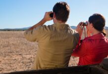 Infographies – Autant de cabinets de conseil en gestion de patrimoine dotés d’un encours supérieur à 100 millions d’euros ont été rachetés en France l’an dernier qu’en 2024.