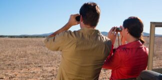 Infographies – Autant de cabinets de conseil en gestion de patrimoine dotés d’un encours supérieur à 100 millions d’euros ont été rachetés en France l’an dernier qu’en 2024.