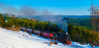 Infographie – La société de gestion finlandaise CapMan et sa filiale allemande Caerus ouvrent un bureau à Paris. René