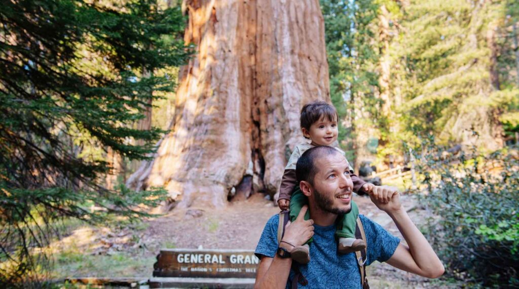 Carac – Une ascension rapide appelée à se poursuivre