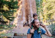 Infographie – Les encours de la Carac ont crû de 5% en 2025, se hissant à 21 milliards d’euros.