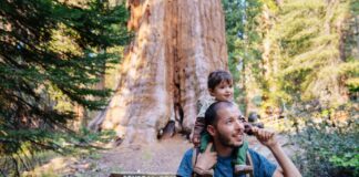 Infographie – Les encours de la Carac ont crû de 5% en 2025, se hissant à 21 milliards d’euros.