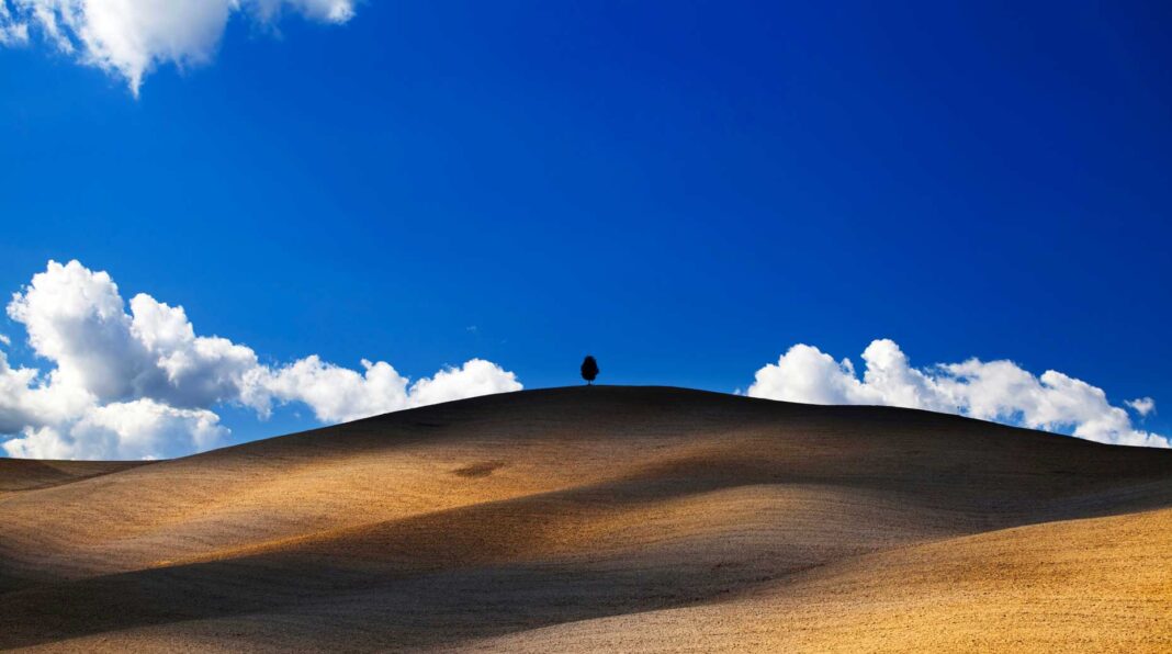 ESG – Schroders estime que la révision du SFDR représentera cette année le principal chantier réglementaire européen en matière de finance durable.