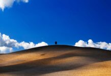 SFDR 2.0 – Schroders voit encore des zones d’ombre ESG – Schroders estime que la révision du SFDR représentera cette année le principal chantier réglementaire européen en matière de finance durable.