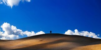 ESG – Schroders estime que la révision du SFDR représentera cette année le principal chantier réglementaire européen en matière de finance durable.