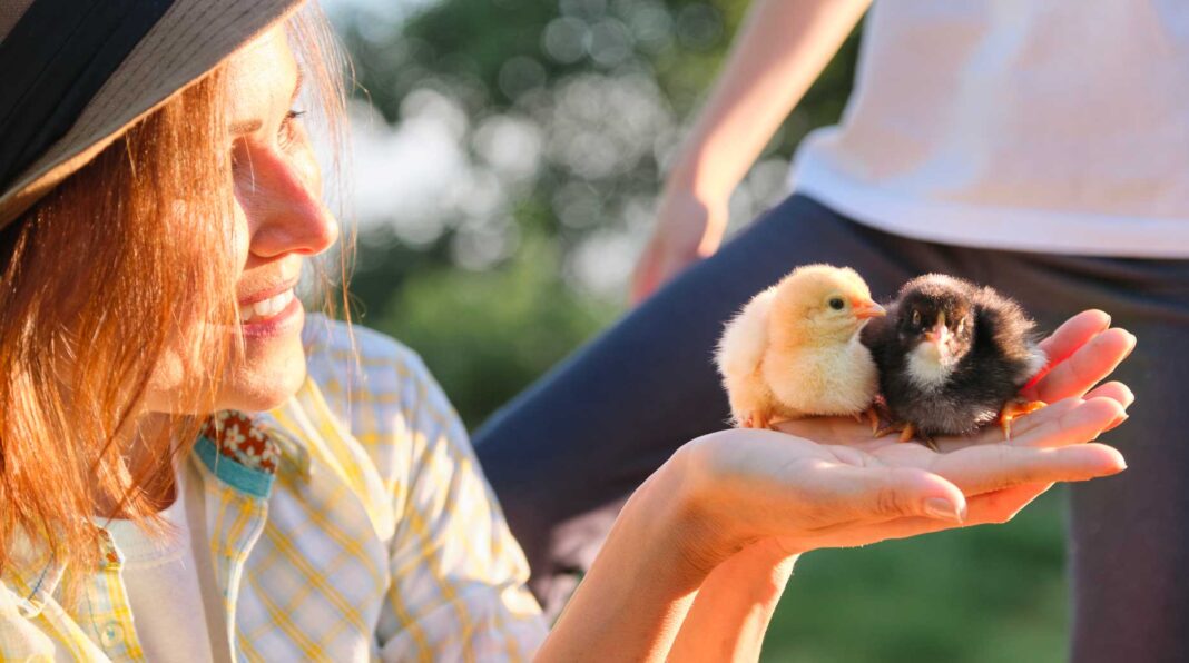 Infographie – NextStage AM a enregistré une collecte brute record de 200 millions d’euros en 2025, en progression annuelle de 145%.