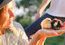 Infographie – NextStage AM a enregistré une collecte brute record de 200 millions d’euros en 2025, en progression annuelle de 145%.