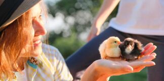 Infographie – NextStage AM a enregistré une collecte brute record de 200 millions d’euros en 2025, en progression annuelle de 145%.