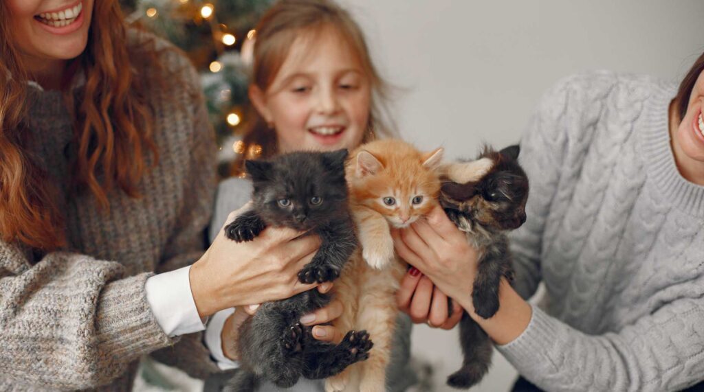 Kepler Cheuvreux – Une portée dynamique en gestion d’actifs