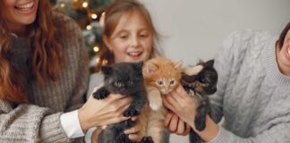 Infographie – Quatre ans après s’être lancé dans l’asset management, Kepler Cheuvreux revendique désormais un encours sous gestion de près de 12 milliards d’euros, grâce notamment au fort développement d’Ellipsis AM.