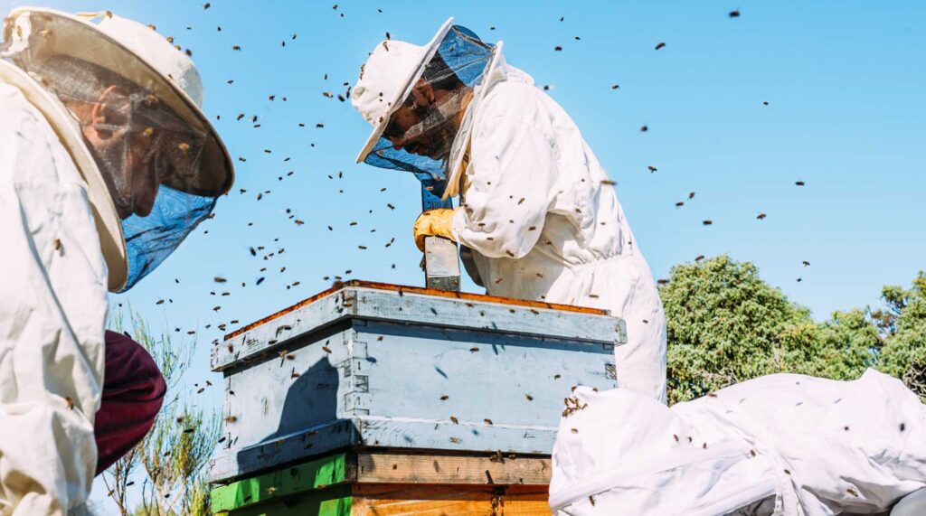 ETF actifs – Un marché en pleine effervescence en Europe