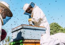 Infographies – Totalisant 85,6 milliards d’euros à fin mars 2026, l’encours des ETF actifs en Europe a quasiment triplé en trois ans.