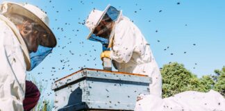 Infographies – Totalisant 85,6 milliards d’euros à fin mars 2026, l’encours des ETF actifs en Europe a quasiment triplé en trois ans.