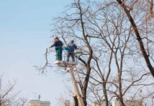 Delubac & Cie confirme le lancement d’un plan de sauvegarde de l'emploi portant sur 55 postes, une information révélée par L’Agefi.