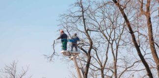 Delubac & Cie confirme le lancement d’un plan de sauvegarde de l'emploi portant sur 55 postes, une information révélée par L’Agefi.