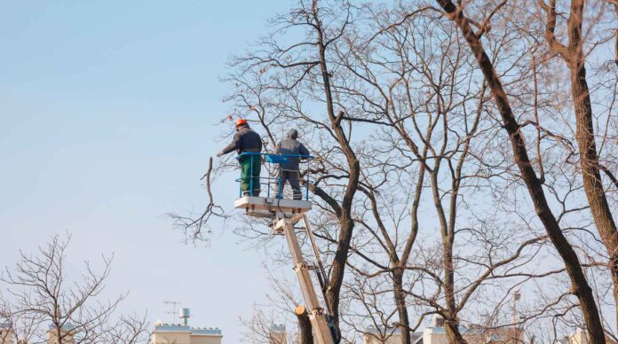 Delubac & Cie confirme le lancement d’un plan de sauvegarde de l'emploi portant sur 55 postes, une information révélée par L’Agefi.