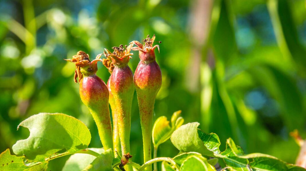 Asset management – Alsea Partners vient d’obtenir son agrément de société de gestion auprès de l’AMF.