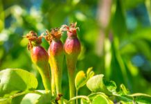 Asset management – Alsea Partners vient d’obtenir son agrément de société de gestion auprès de l’AMF.