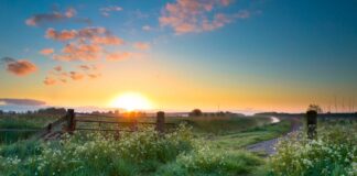 Private equity – 45degrés Capital vient d’obtenir son agrément AMF. Basée à Lille, cette jeune société de gestion ciblera les PME régionales.