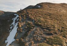 Infographies – La gestion de fortune de Crédit Agricole débute l’année dans le vert.