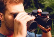 CGP – Le processus de recomposition du capital de Synalp devrait prendre la forme d’un LBO majoritaire,